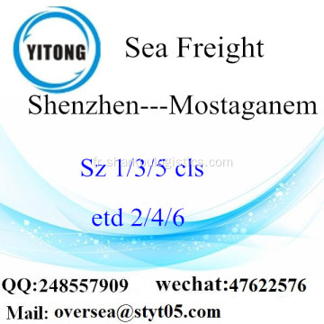 Port de Shenzhen LCL Consolidation à Mostaganem